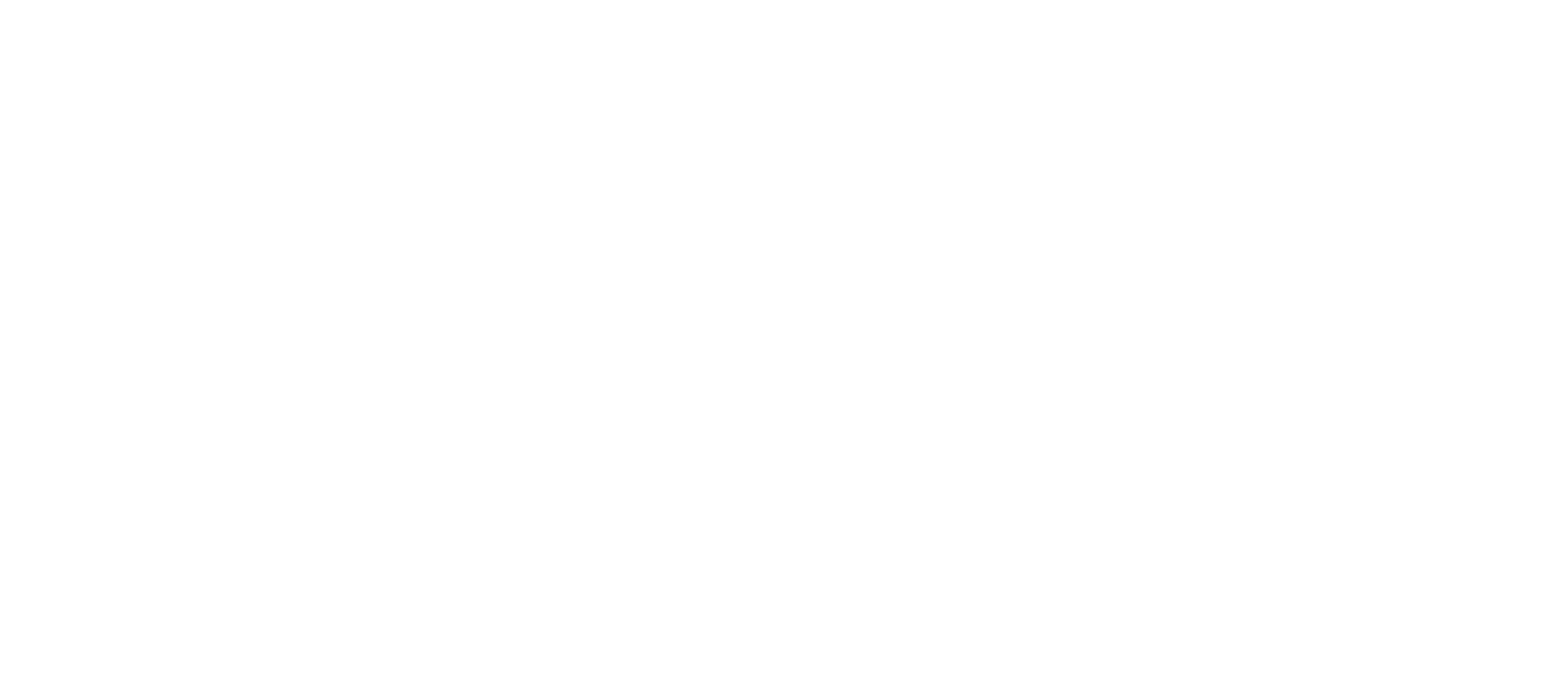 Dellsche Business Consultancy